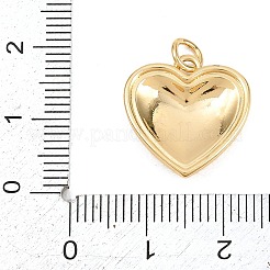 Brass Pendants&nbsp;KK-H273-05G