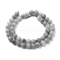 Natural Labradorite Beads Strands&nbsp;G-I261-D02-8mm