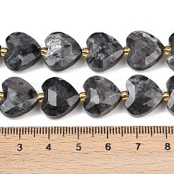 Natural Larvikite Beads Strands&nbsp;G-P592-B05-01