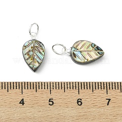 Natural Paua Shell/Abalone Shell Carved Pendants&nbsp;PALLOY-JF05615-02