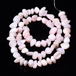 Natural Trochid Shell/Trochus Shell Bead Strands&nbsp;SSHEL-N034-78-C02