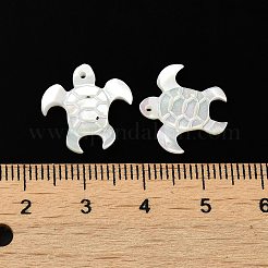 Natural White Shell Pendants&nbsp;SSHEL-M022-05