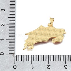 Brass Enamel Pendants&nbsp;KK-C263-30A-G