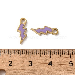 304 Stainless Steel Enamel Charms&nbsp;STAS-L022-332G