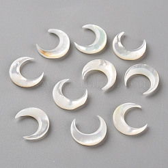 Natural White Shell Beads&nbsp;LS-SSHEL-Q311-004B-01