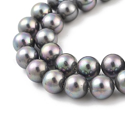 Shell Pearl Bead Strands&nbsp;BSHE-L025-07-8mm
