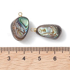 Natural Paua Shell Pendants&nbsp;PALLOY-JF05229
