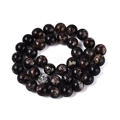 Natural Biotite Beads Strands&nbsp;G-Q616-01D