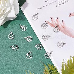 304 Stainless Steel Charms&nbsp;STAS-UN0003-66P