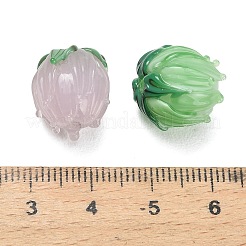 Handmade Lampwork Beads&nbsp;LAMP-F041-02-A01