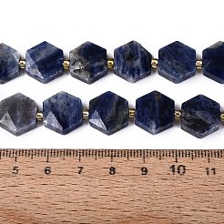 Natural Sodalite Beads Strands&nbsp;G-N368-01A-04