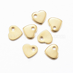 304 Stainless Steel Charms&nbsp;X-STAS-H557-28G