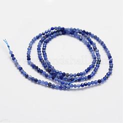 Natural Grade A Sodalite Beads Strands&nbsp;G-G663-21-2mm