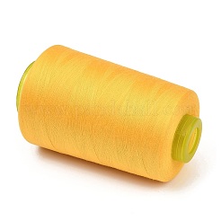 Polyester Machine Embroidery Threads&nbsp;FB-CBA3CB0-01B
