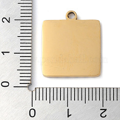 Ion Plating(IP) 304 Stainless Steel Pendants&nbsp;STAS-D025-03G-01