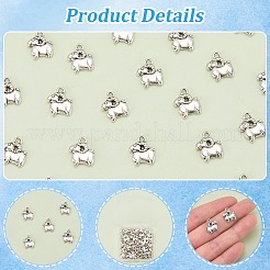 80Pcs Tibetan Style Alloy Charms&nbsp;TIBEP-SC0003-52