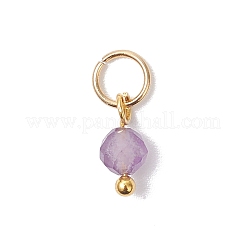 7Pcs 7 Colors Synthetic Turquoise & Natural Green Aventurine & Amethyst & Red Agate & Red Jasper & Tiger Eye & Lapis Lazuli Faceted Round Chakra Charms&nbsp;PALLOY-JF04564-01