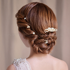 6Pcs Iron Resin Hair Cormbs & 12Pcs Iron Resin Hair Forks for Women&nbsp;PHAR-OC0001-05