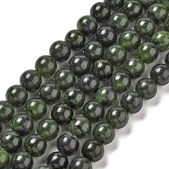 Natural Canada Jade Beads Strands&nbsp;G-L619-B02-8mm