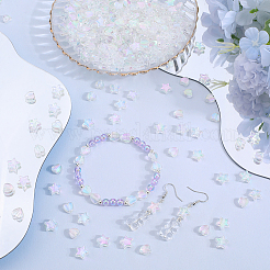 800Pcs 2 Styles Eco-Friendly Transparent Acrylic Beads&nbsp;TACR-SP0001-01B