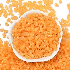 Transparent Colours Glass Seed Beads&nbsp;SEED-R001-01S