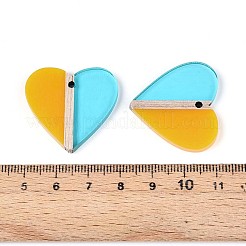 Transparent Resin & Wood Pendants&nbsp;RESI-T057-79