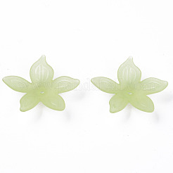 Transparent Acrylic Beads&nbsp;MACR-S373-127-D06