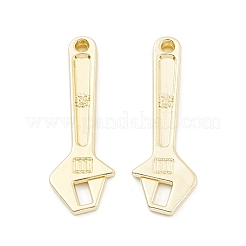Alloy Pendants&nbsp;PALLOY-K003-19LG