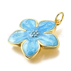 Brass Enamel Pendants&nbsp;KK-V011-29G-A