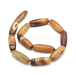 Natural Striped Agate/Banded Agate Beads Strands&nbsp;TDZI-O003-36