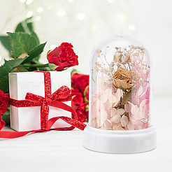 ABS Dome Cover&nbsp;DIY-WH0430-152