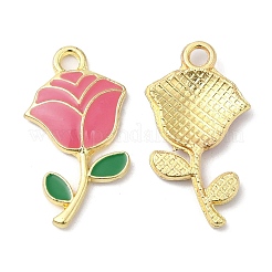 Eco-friendly Alloy Enamel Pendants&nbsp;PALLOY-M212-18G