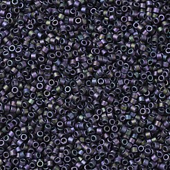 MIYUKI Delica Beads&nbsp;SEED-JP0008-DB1053