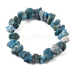 Natural Apatite Beads Strands&nbsp;G-I283-F23