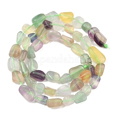 Natural Colorful Fluorite Beads Strands&nbsp;G-P497-01C-18
