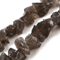 Natural Smoky Quartz Beads Strands&nbsp;G-I283-F13
