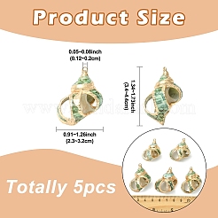 5Pcs Natural Sea Shell Pendants&nbsp;SSHEL-YW0001-11