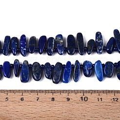 Natural Lapis Lazuli Beads Strands&nbsp;G-Z091-A23
