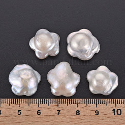 Natural Keshi Pearl Beads&nbsp;PEAR-N020-A01