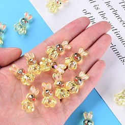 Transparent Acrylic Beads&nbsp;MACR-S373-81-Q02