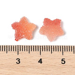 Imitation Candy Food Style Resin Cabochons&nbsp;X1-RESI-R461-02B