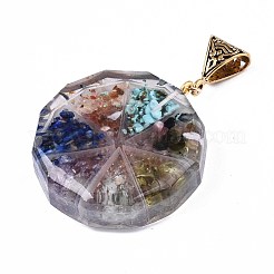Transparent Epoxy Resin Alchemy Pendants&nbsp;RESI-T049-06