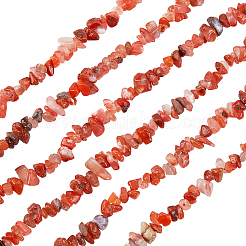 3 Strand Natural Carnelian Beads Strands&nbsp;G-BC0001-25