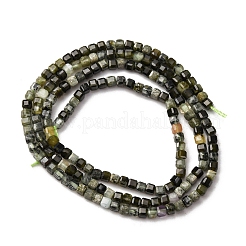 Natural Prehnite Beads Strands&nbsp;G-RM2025-C26-A