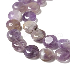 Natural Amethyst Beads Strands&nbsp;G-P489-05