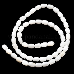 Natural Freshwater Shell Beads Strands&nbsp;SHEL-R129-02