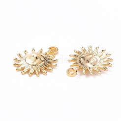 PVD Vacuum Plating 304 Stainless Steel Charms&nbsp;X-STAS-B024-66G