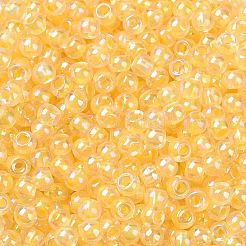 6/0 Glass Seed Beads&nbsp;SEED-T006-04F-09