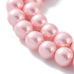 Shell Pearl Bead Strands&nbsp;X-BSHE-L025-06-8mm