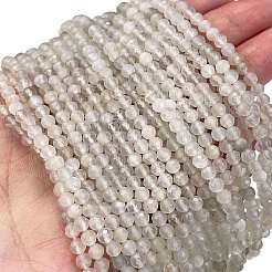 Natural White Moonstone Beads Strands&nbsp;G-Z058-A01-01